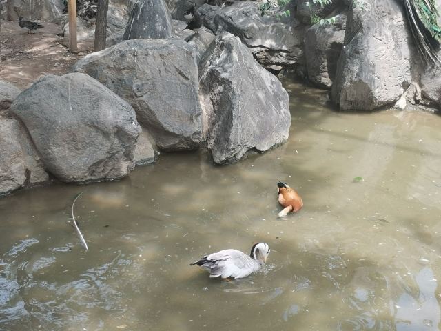 西安世博园旅行图片 3