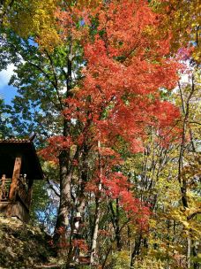 猴石国家森林公园-新宾-YoYo_8B6E7T2S