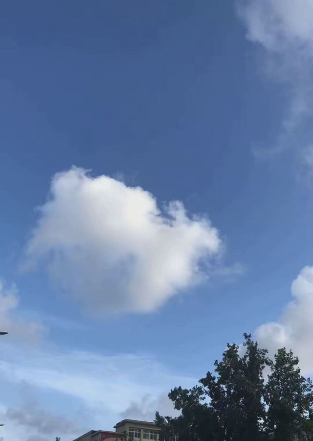 青岛市海泊河公园旅行图片 3