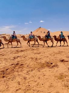 腾格里沙漠-中卫-吾家晨晨