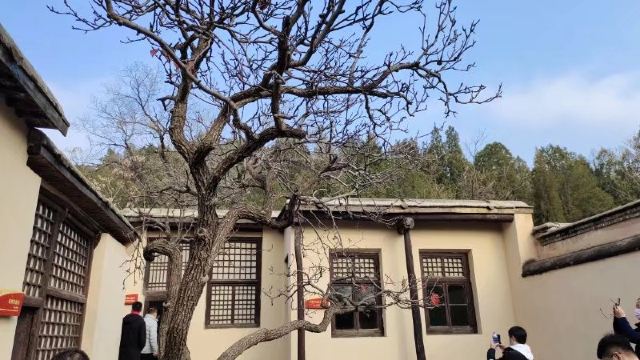 李白·时光里文化旅游度假区旅行图片 2
