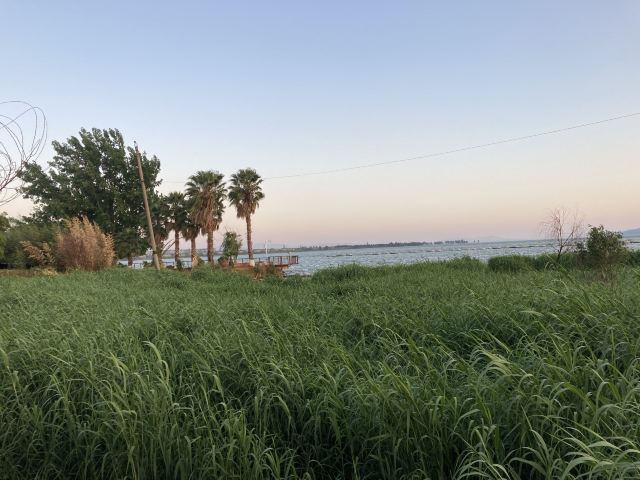 海洪湿地泼水广场旅行图片 5