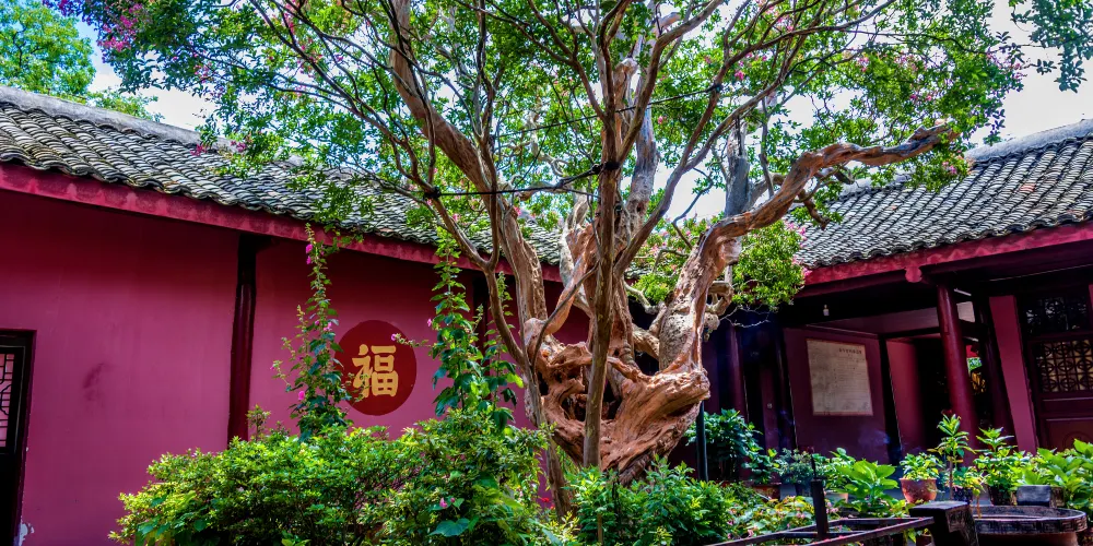 永安旅遊