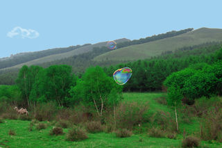 夏日狂欢，遇见16℃的七彩森林