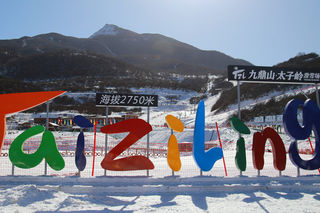 成都冬日里那一抹暖阳