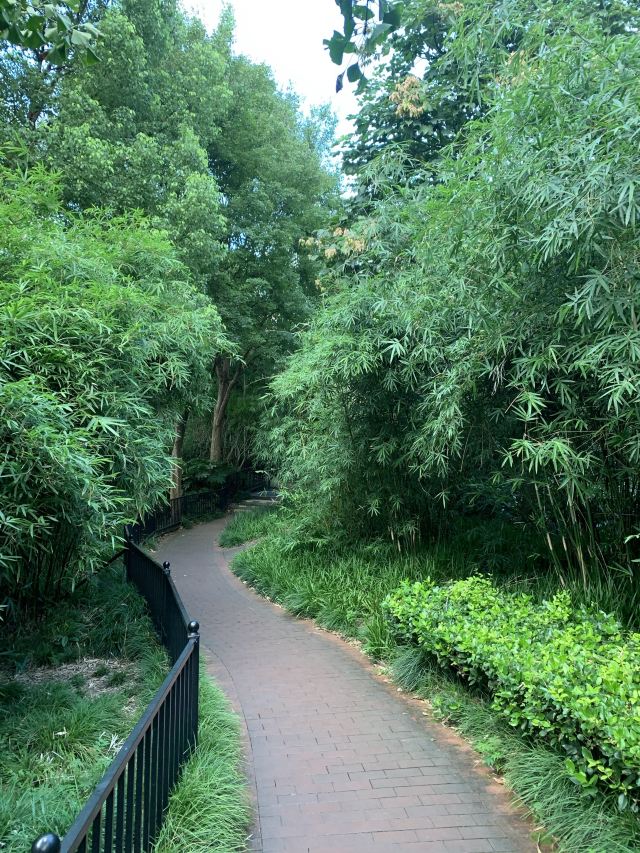 江浦公园旅行图片 12
