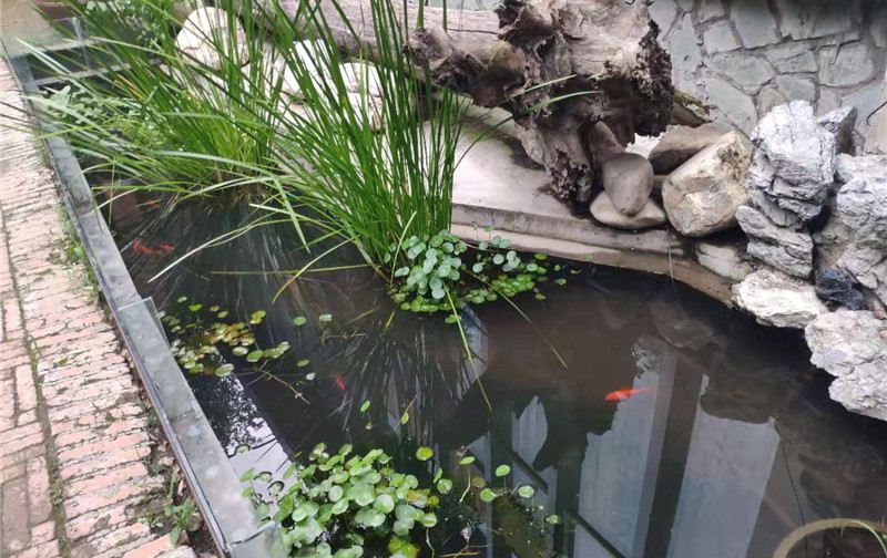 西郊山林休闲养生度假公园