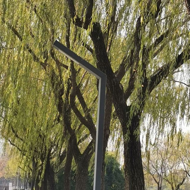 横州市茉莉花文化公园旅行图片 2