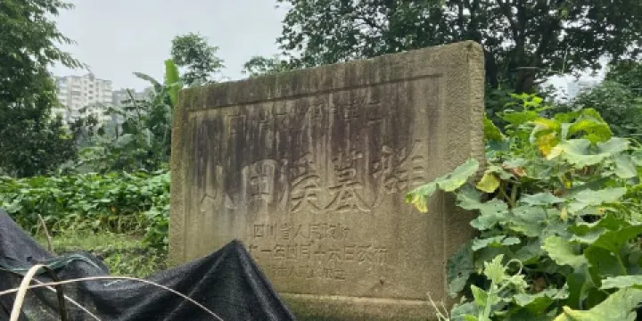 小田溪巴王墓群