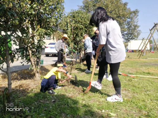 植树节主题团建攻略 选上海乐活营地