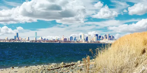 斯佩克特克爾島