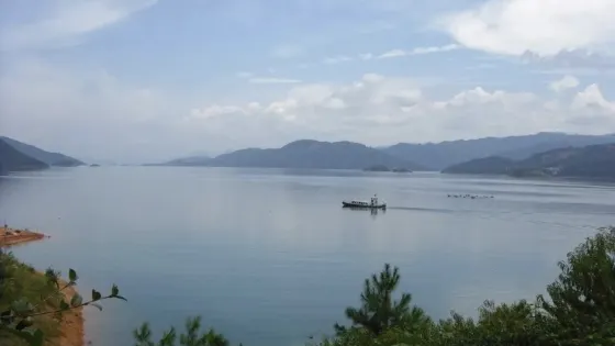 東江水庫
