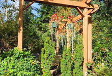 Bellevue Demonstration Garden景点图片