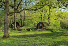Low Wray Campsite景点图片