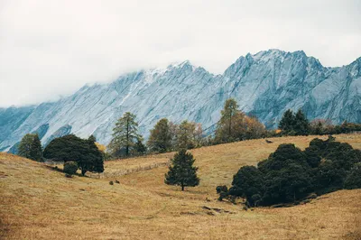 老药山