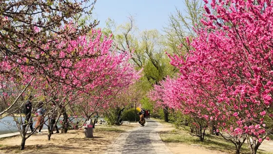 回龍觀生態休閑公園