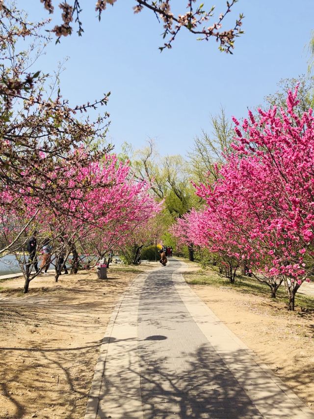 回龙观生态休闲公园旅行图片 3