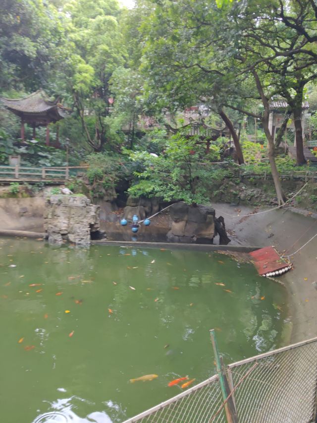 白雲山景點-廣州旅遊評論-2020年8月5日旅行指南-Trip.com