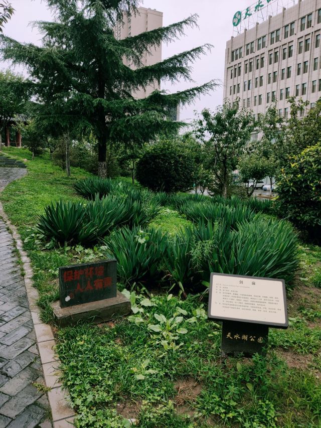 樱花园旅行图片 2