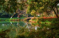 杭州西湖风景名胜区杭州花圃-杭州