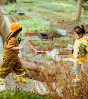 迪士尼度假区游记图文-带玥亲近大自然 九善农植有机生活农场 ——记九善会员开放日