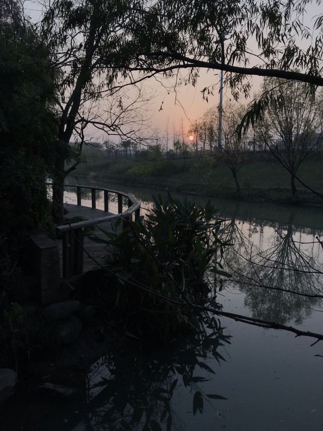 新江湾湿地生态观鸟拍鸟基地旅行图片 8