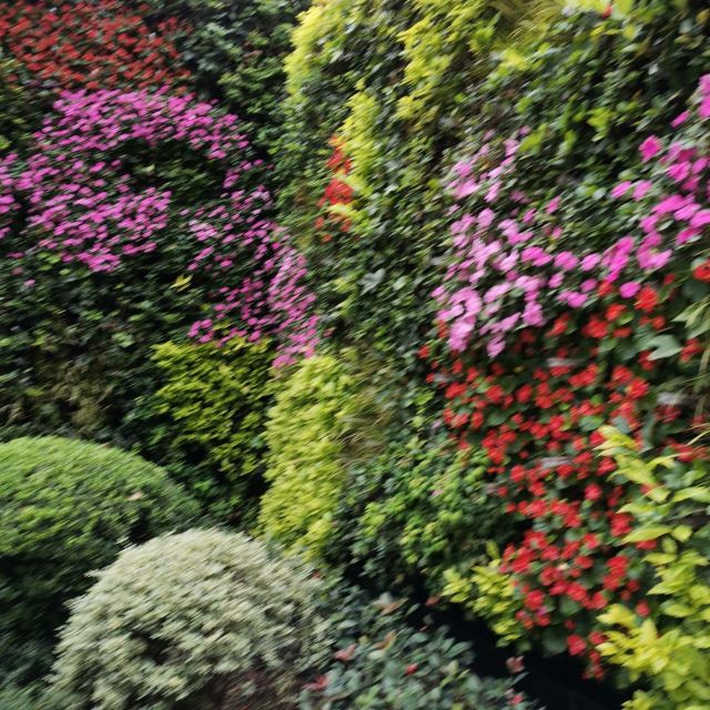 丽都花园旅行图片 3