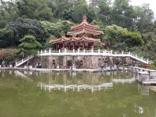 仙湖植物园-深圳-M25****6369