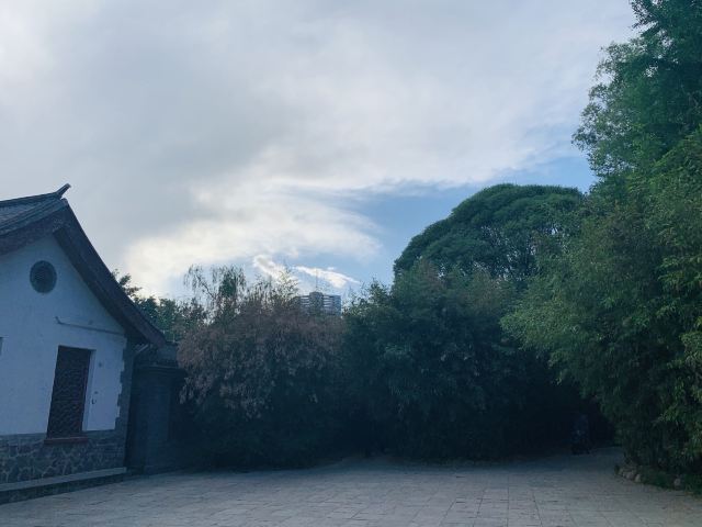 柳荫公园旅行图片 2