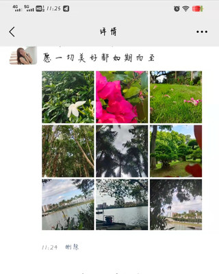 红豆生南国,秋来发几枝,绿城南宁我来了