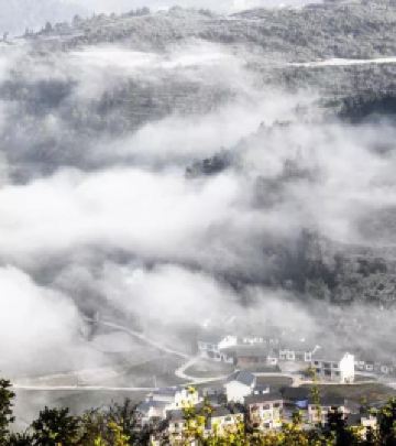 岑巩游记图文-乡游黔中 ·岑巩县 下寨村│穿越红豆杉，来凉爽下寨村赏荷