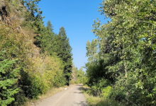 Kim Williams Nature Trail景点图片
