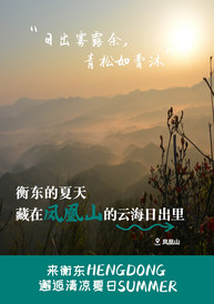 衡东游记图片] 消暑海报 | 衡东的夏天，到底藏在哪里？