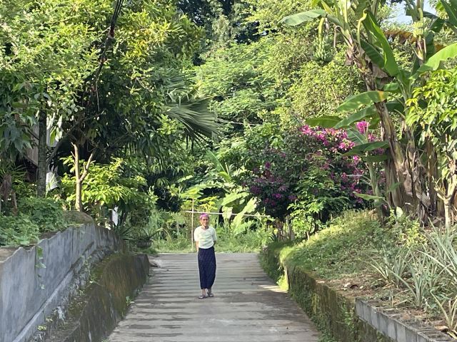 曼远村旅行图片 1