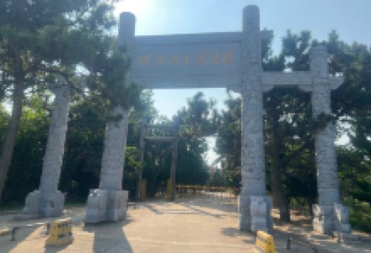 御海湾茶园景点图片