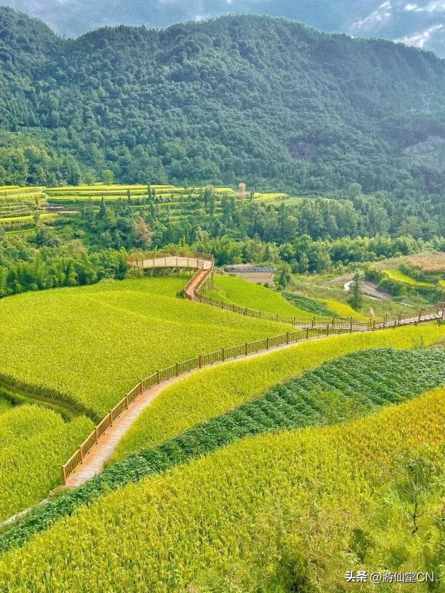 龙里大草原景区旅行图片 1