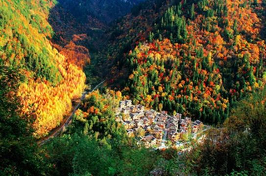 争创国家旅游示范区|嘿,你有一组来自阿坝州的秋日明信片待查收~