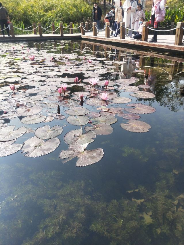 那考河湿地公园旅行图片 4
