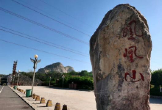 凤凰山森林公园景点图片