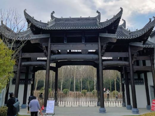 蒙城县森林公园