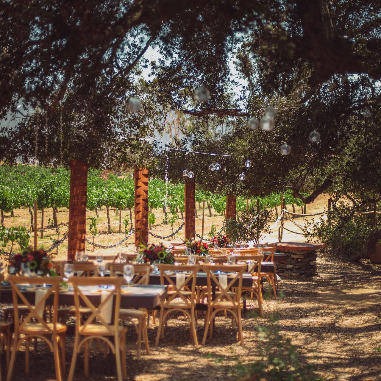 Robleza cocina de campo餐厅图片