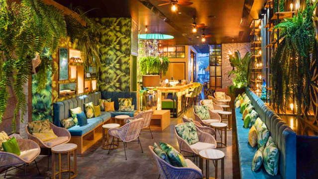 Kentia, Gourmet Club餐厅图片