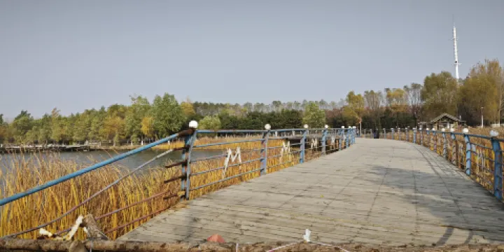 蒲河冬雪湖公園