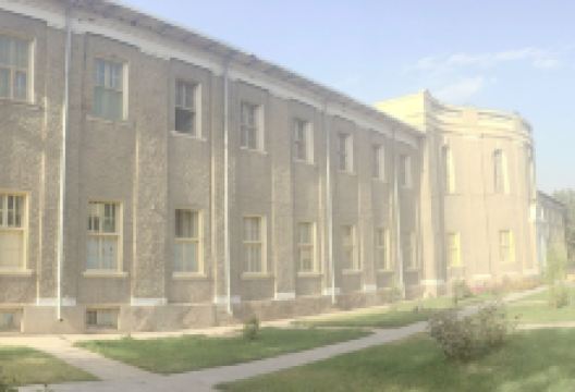 Kabul Museum景点图片