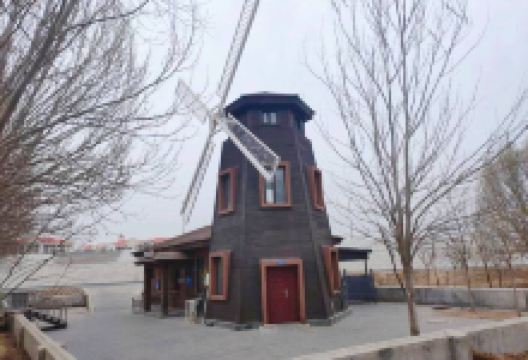 通辽薰衣草园景点图片