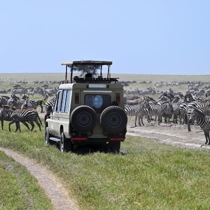 坦桑尼亚+塔兰吉雷国家公园+恩戈罗恩戈罗保护区+塞伦盖蒂国家公园10日7晚跟团游