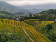 龙脊大瑶寨梯田观景区-龙胜-m31****1784