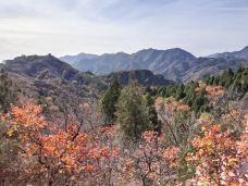 八达岭国家森林公园-北京-萱萱的美食之旅