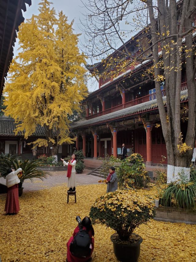 大邑鹤鸣山道观游玩攻略简介,大邑鹤鸣山道观门票/地址/图片/开放时间
