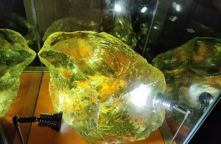 东方地质科普馆,千姿百态话沧桑(4)——上海3日(9)